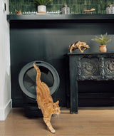 Black Litter-Robot 5 self cleaning litter box with orange cat