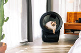 Cat Exiting a Black Litter-Robot 4 Automatic Litter Box