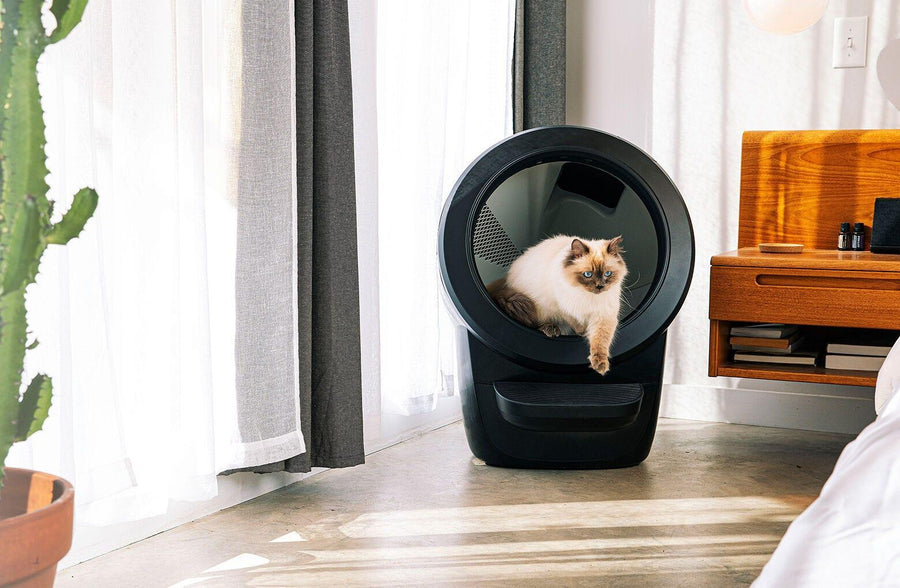 Cat Exiting a Black Litter-Robot 4 Automatic Litter Box