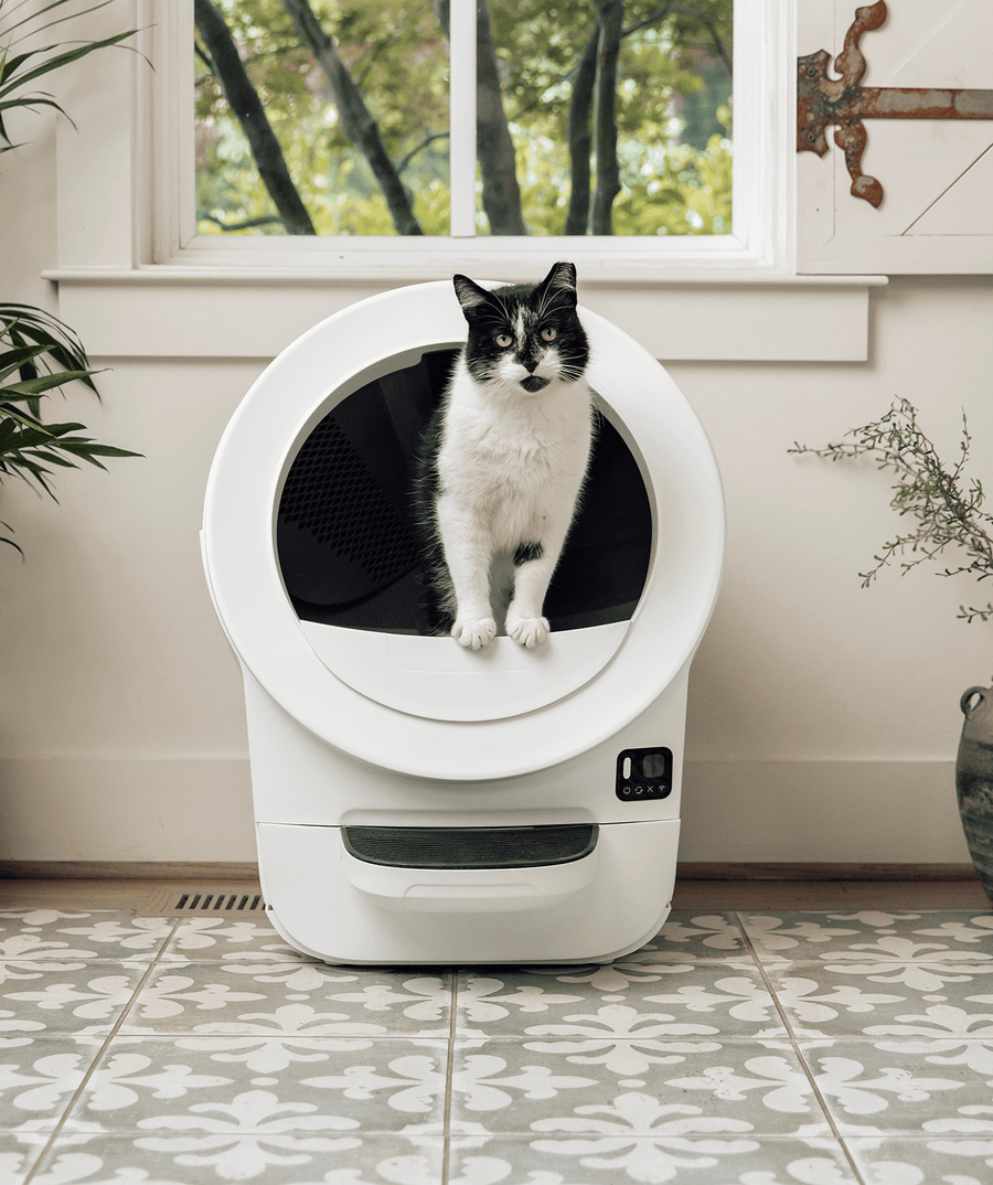 Whisker.com tuxedo cat in Litter-Robot EVO in white