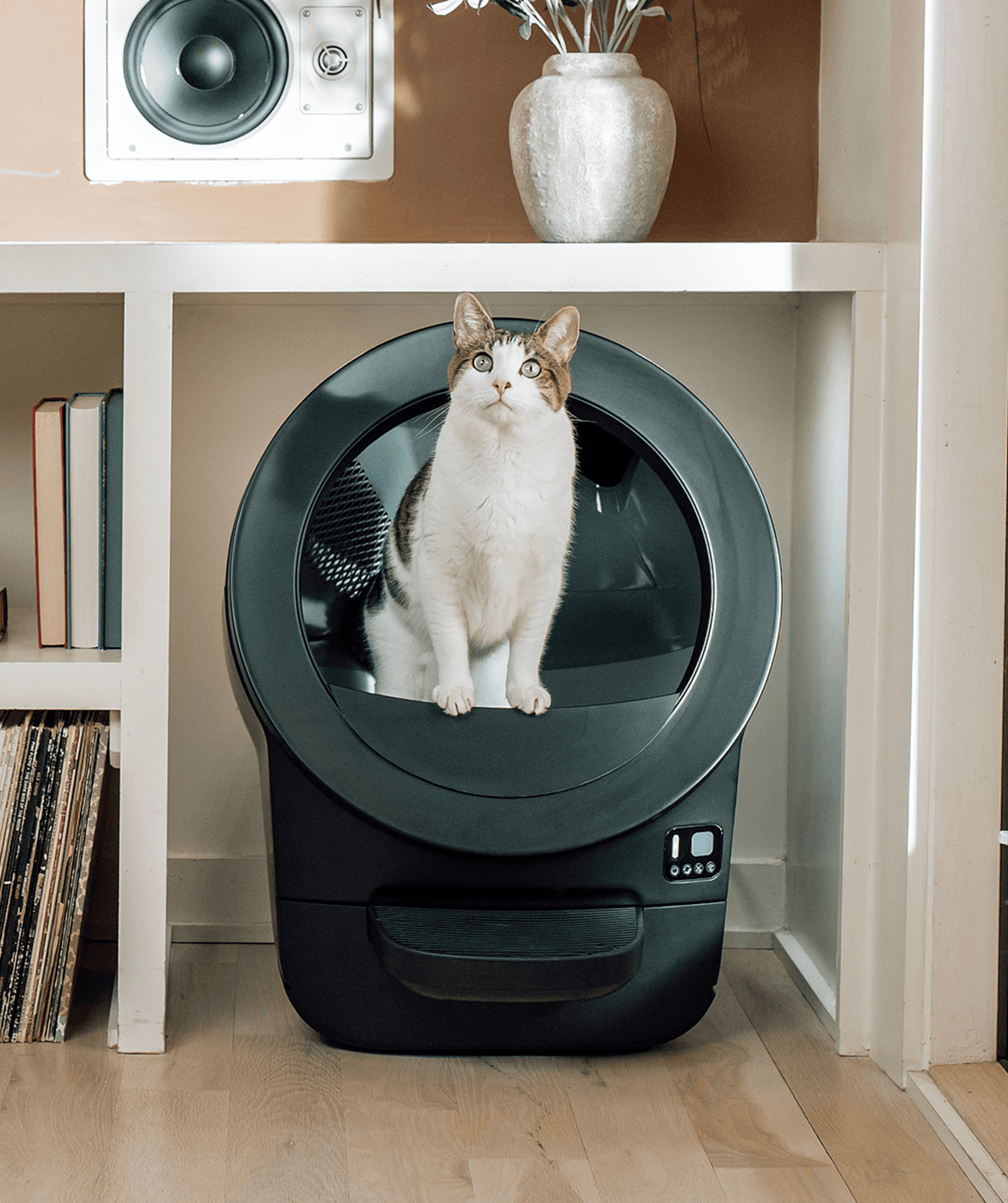 Whisker.com cat in Litter-Robot EVO small space