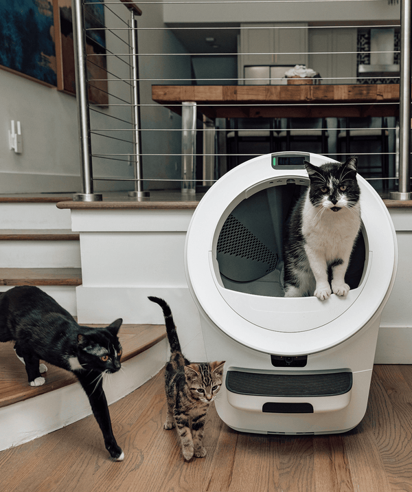 Multiple cats using Litter-Robot 5 Pro