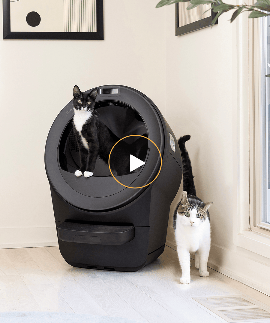 Whisker.com Litter-Robot 5 tuxedo cat and tabby cat