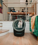 Litter-Robot® EVO