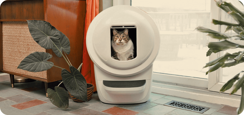 Litter-Robot with shield accessory
