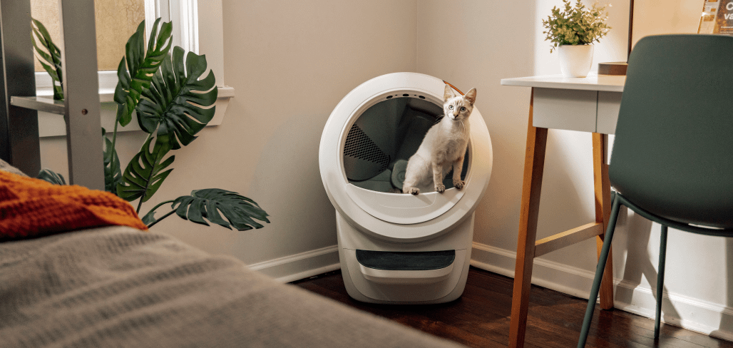 Cat in Litter-Robot