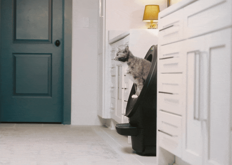 Cat jumping out of Litter-Robot