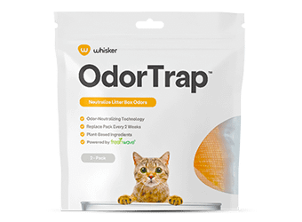 OdorTrap